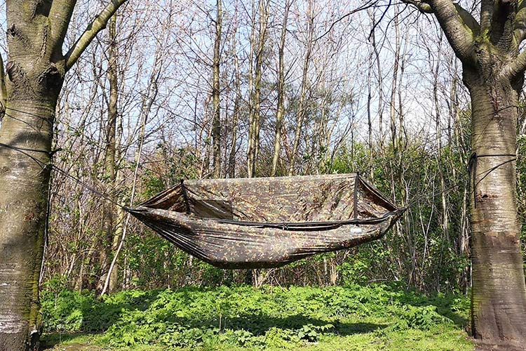 Pikkukuva 1